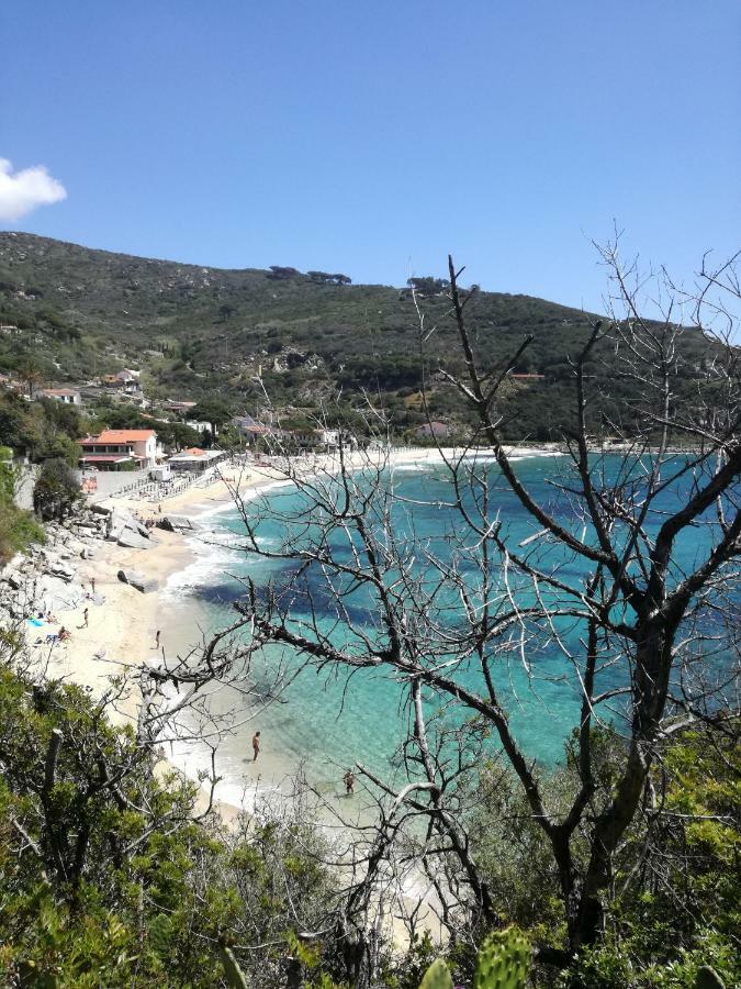 Apartment La Maison Capoliveri (Isola d'Elba)